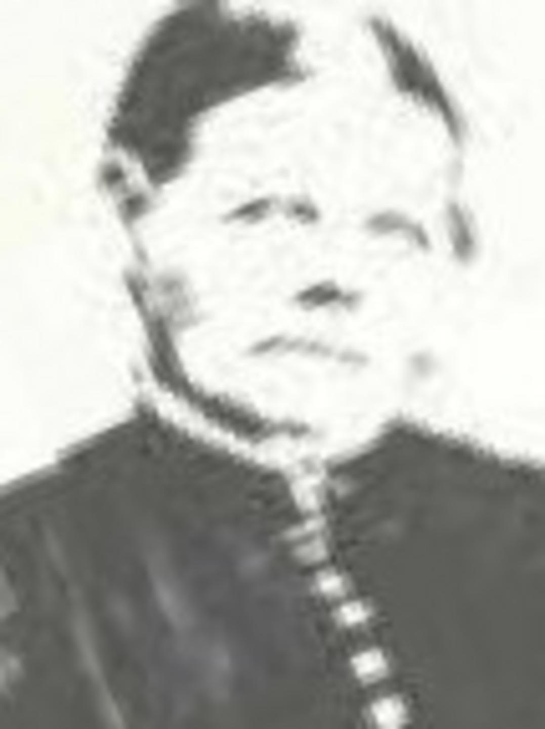 Emily Tew (1848 - 1920) Profile